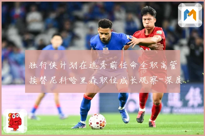 独行侠计划在选秀前任命全职高管接替尼科哈里森职位成长观察-深度解析